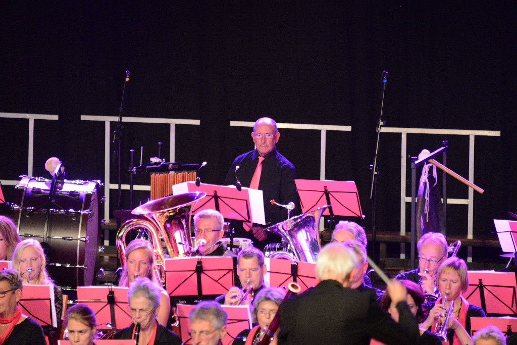 ../Images/Jubileumconcert 100 jaar Harpe Davids 267.jpg